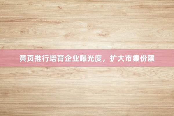 黄页推行培育企业曝光度，扩大市集份额